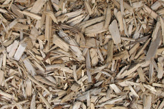 biomass boilers Arboe